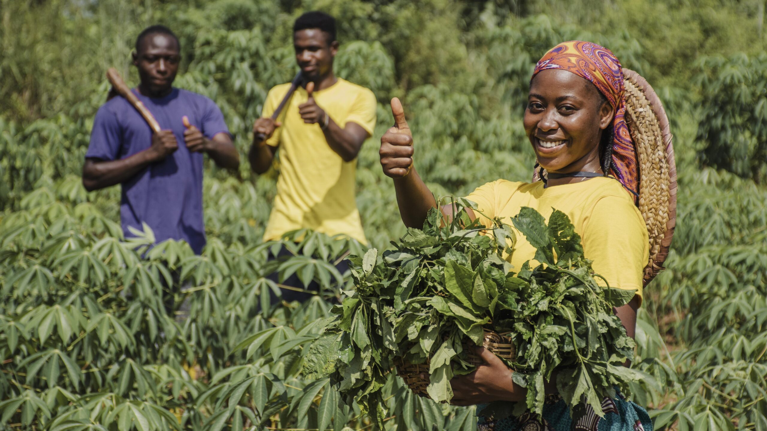 How AI is Shaping Agriculture in Africa.