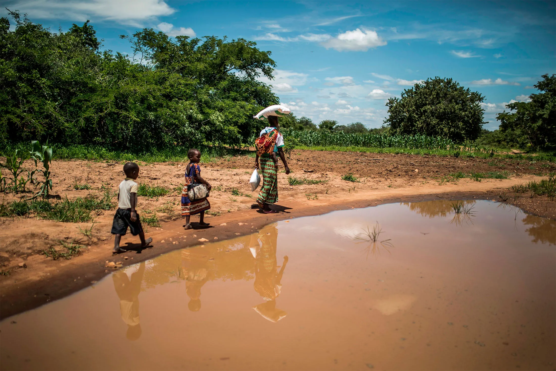 AI Revolutionizes Climate-Resilient Farming in Africa: Smallholders Harness Tech to Combat Droughts and Boost Yields 